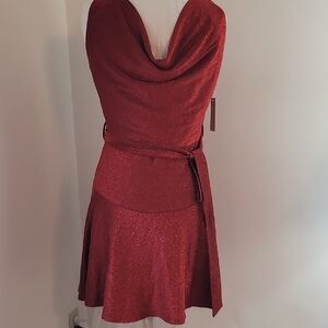 Elegant Red Cowl Neck Dress